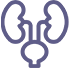 Urologia